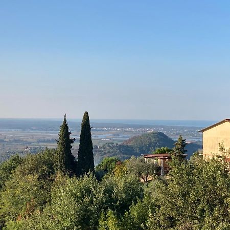 La Casina Delle Rondini Guest House Corsanico-Bargecchia Екстериор снимка