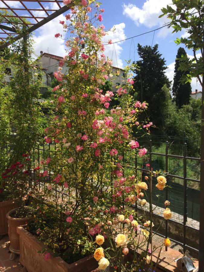 La Casina Delle Rondini Guest House Corsanico-Bargecchia Екстериор снимка